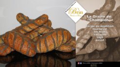 La graine de champion - Boulangerie Brin