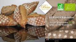 Le pain d'épeautre - Boulangerie Brin