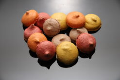Macarons secs(sans gluten), framboise,citron, chocolat, orange - Boulangerie Brin